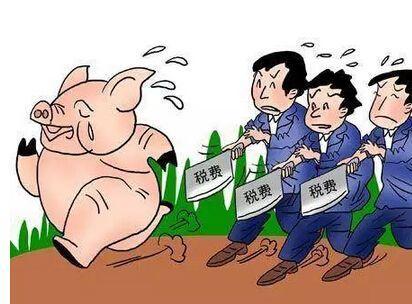 年轻人别轻易注册公司创业，后果很严重