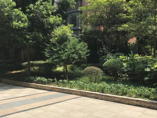 (新上)创业路神仙树石羊场美洲花园精装三房拎包入住