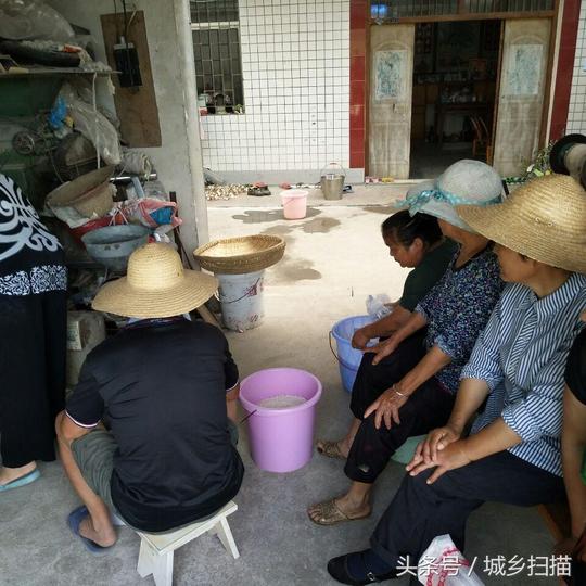 73岁老人做冷门生意,请别问她的年收入,说出来可能