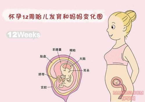 怀孕期间肚子痛的厉害怎么减轻