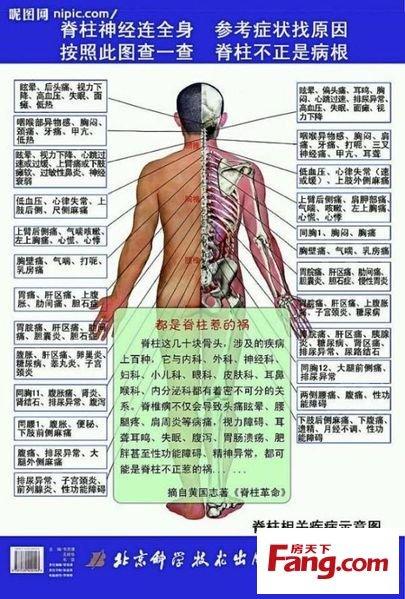 第一届"筋膜松解疗法r26;疼痛病治疗专题"交流会