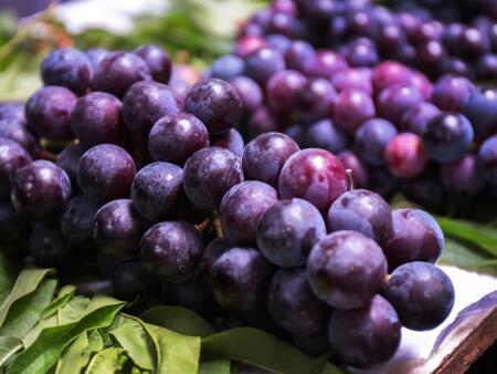 孕妇吃葡萄的好处有哪些