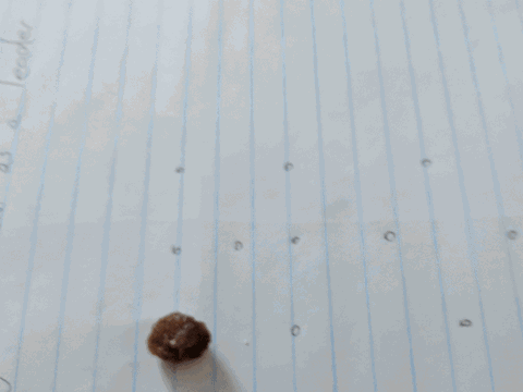 给宝宝洗澡到底要不要搓泥