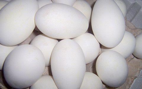 孕晚期吃鹅蛋可以去胎毒吗?