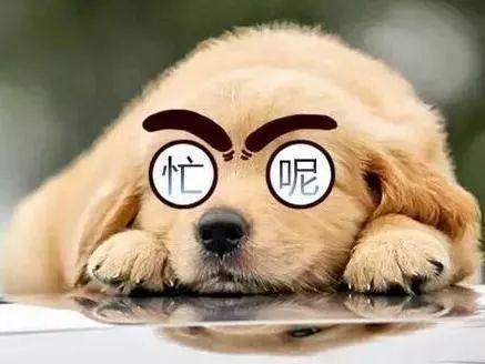 假期结束后遗症
