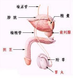 男人身体不好会得不育症吗