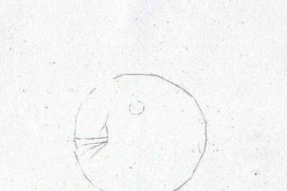 水彩红苹果画法步骤调色？