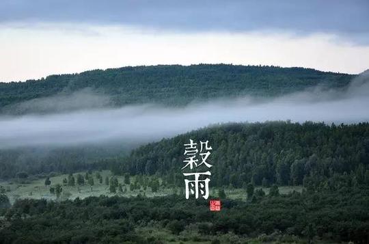 "谷雨"节气最美礼贤摄影素材评选征集进行中!