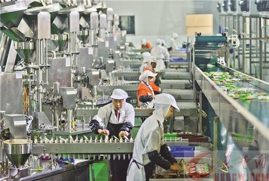 外出打工为生存回乡创业缘乡愁