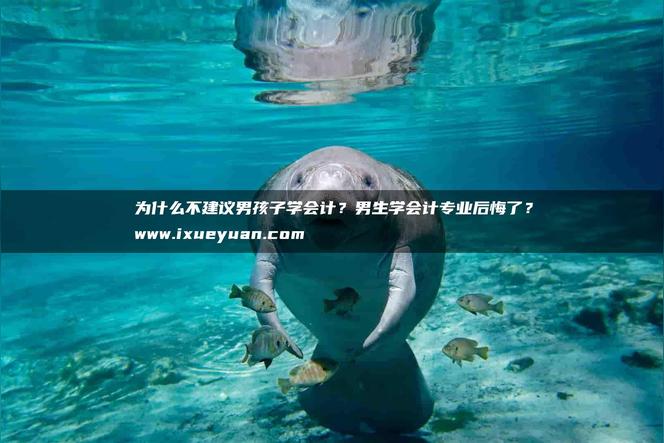 男孩学会计的利弊？