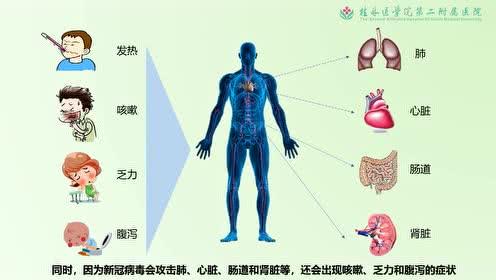 天气回暖新型冠状病毒会消失吗