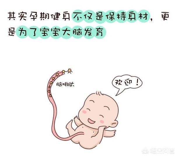 孕妇在家如何运动视频