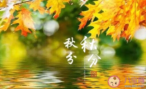 宝宝吃奶时爱咬人怎么办