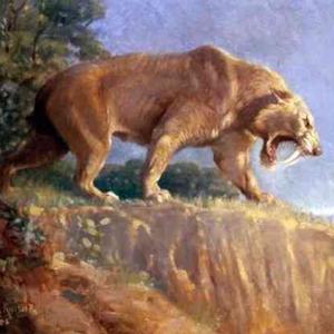 在非洲目击的未确认生物之一