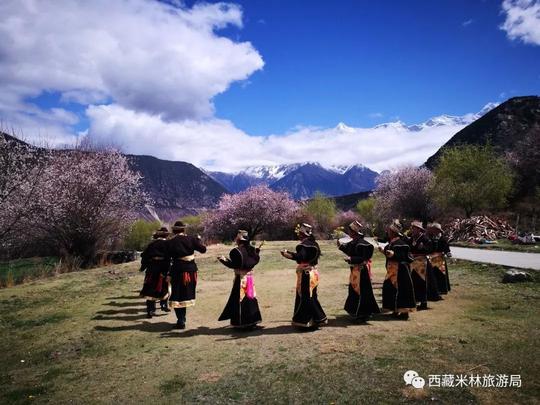2017我做过最棒的事儿,就是去林芝看了场桃花!