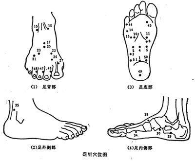 脚的穴位图(足底脚面)