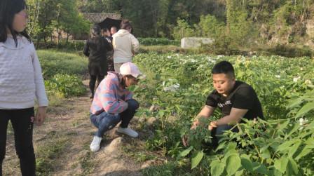 回农村创业做什么比较赚钱?这位农村小伙信心满满，看看他种的啥