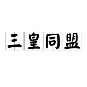 德意志统一之后的同盟