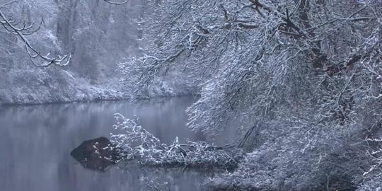 大雪纷飞唯美冬天下雪了_1280x600_高清视频素材下载
