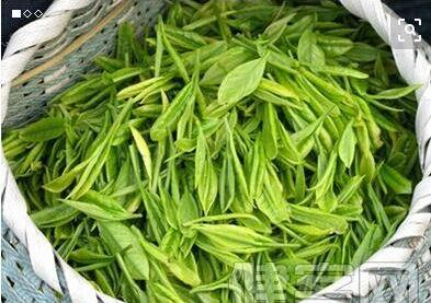 创业第一步网开店知识茶叶店知识>>正文绿茶是夏天大家喜爱的
