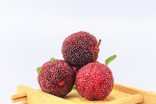 蓝莓_图片大全—全景创意图库（quanjing.com）中国领先的正版图片视频素材网站