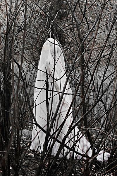 幽灵_死_木头_图片大全—全景创意图库（quanjing.com）中国领先的正版图片视频素材网站