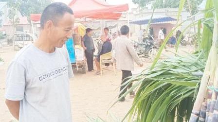 农村大哥种植100亩甘蔗，据说年收入百十万，真有这么挣钱?