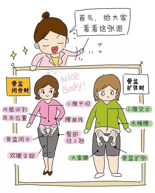 产后骨盆修复最详图解-好大夫在线