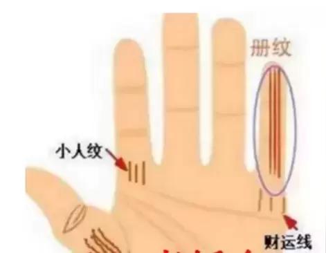 最擅长经商的手相特征插图