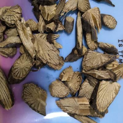 偏门冷门中药材青风藤批发供应青风藤产地销售药材青风藤价格图片