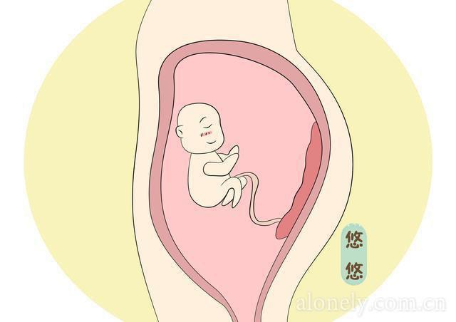 剪脐带时宝宝会不会疼