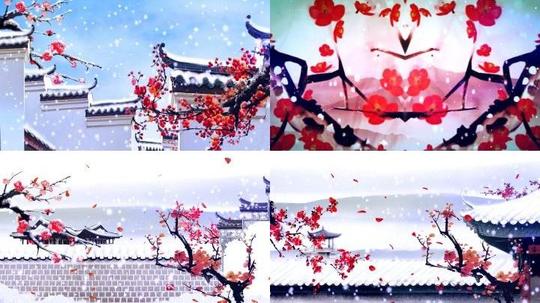 歌曲红梅赞舞台背景红梅赞视频素材