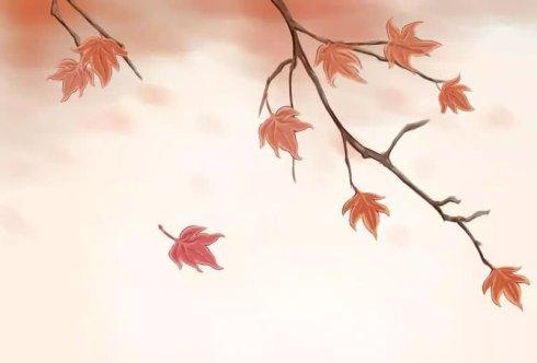 感谢自己,也经历过失败与挫折,静下心来细细体味,依然能再次扬帆远航