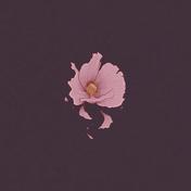 草叶如歌(柳爽)