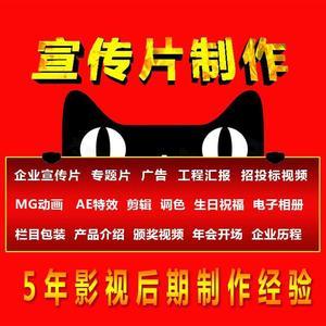 pr剪辑接单/宣传片/短视频/纪录片/微电影/ae特效制作24小时接单