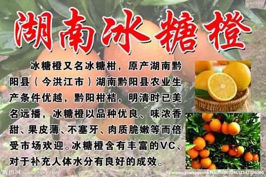 湖南冰糖橙图片