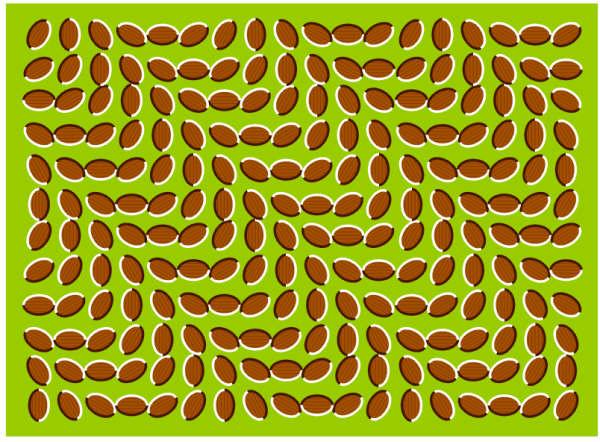 孩子心理承受能力太差如何引导呢