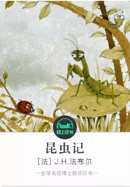 你为什么喜欢夏天的理由