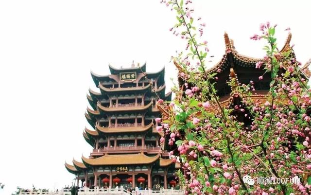 黄鹤楼免费预约时间