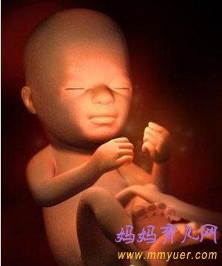 怀孕6周应吃哪些食物最好