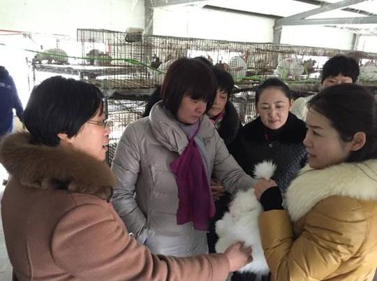市妇联主席到宫集镇调研农村妇女创业项目