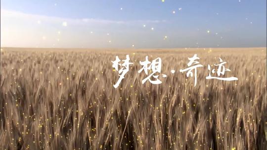 企业励志热血梦想粒子文字视频片头落版结尾_1下载(:)