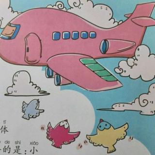 鸟为什么能飞上天空——李少涵
