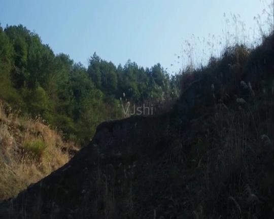 荒郊野外荒山野岭阴森恐怖吓人_674x540_高清视频素材