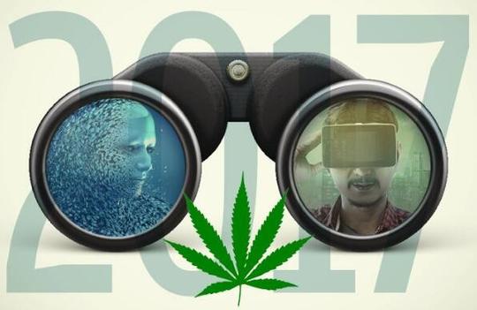重磅预测:2017年八类初创企业的创业机会与趋势(ceo必读)