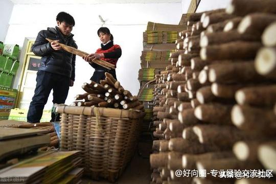 2021年在农村创业，试试这25个致富项目，搞好了不比打工差-10.jpg