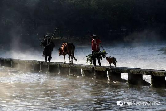 2018年浙江c团"丽水云和梯田,瓯江帆影,仙都老农牵牛过桥,温州茗岙