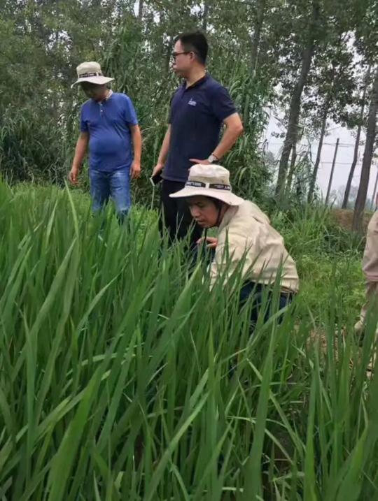 在农村想做点生意，有什么好的点子吗?