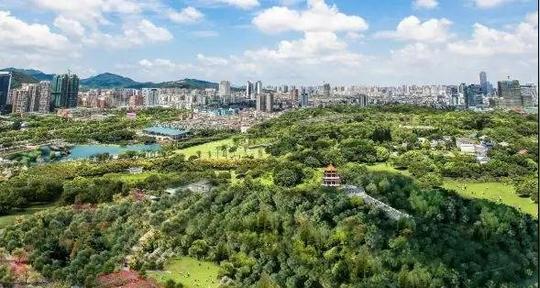 广东省最大的郊野公园旁，中山城芯品质家“氧”你一辈子!