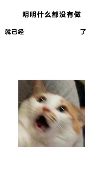 明明什么都没做就已经壁纸图片